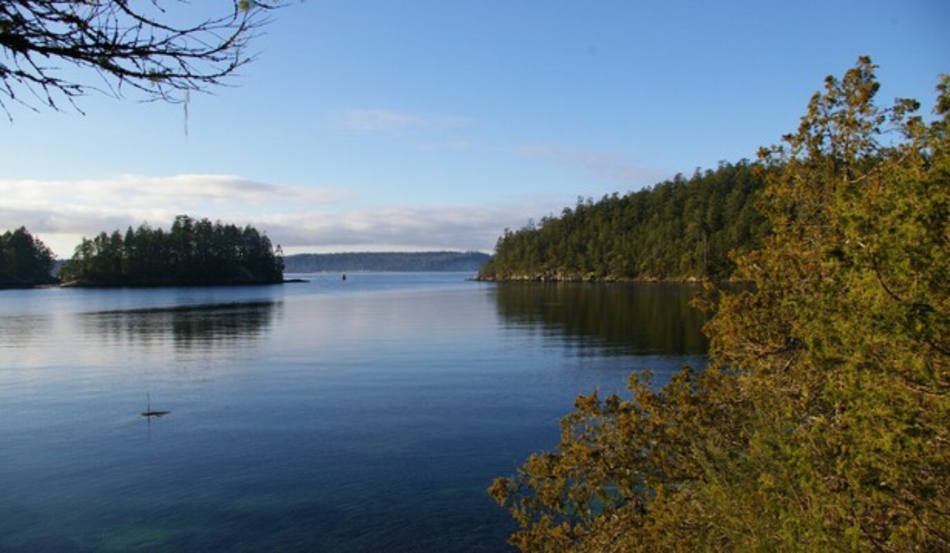 Echo Island and Mainland Lot