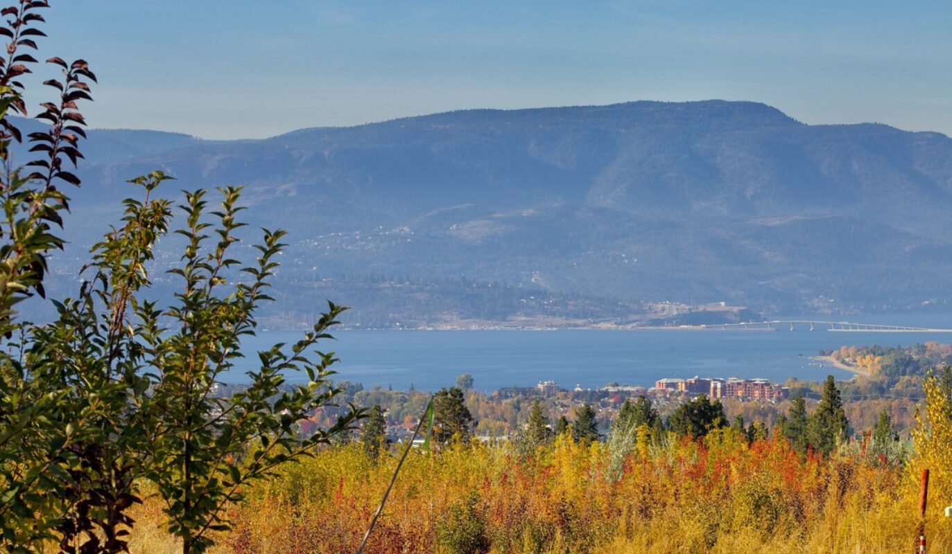 Large Kelowna Nursery