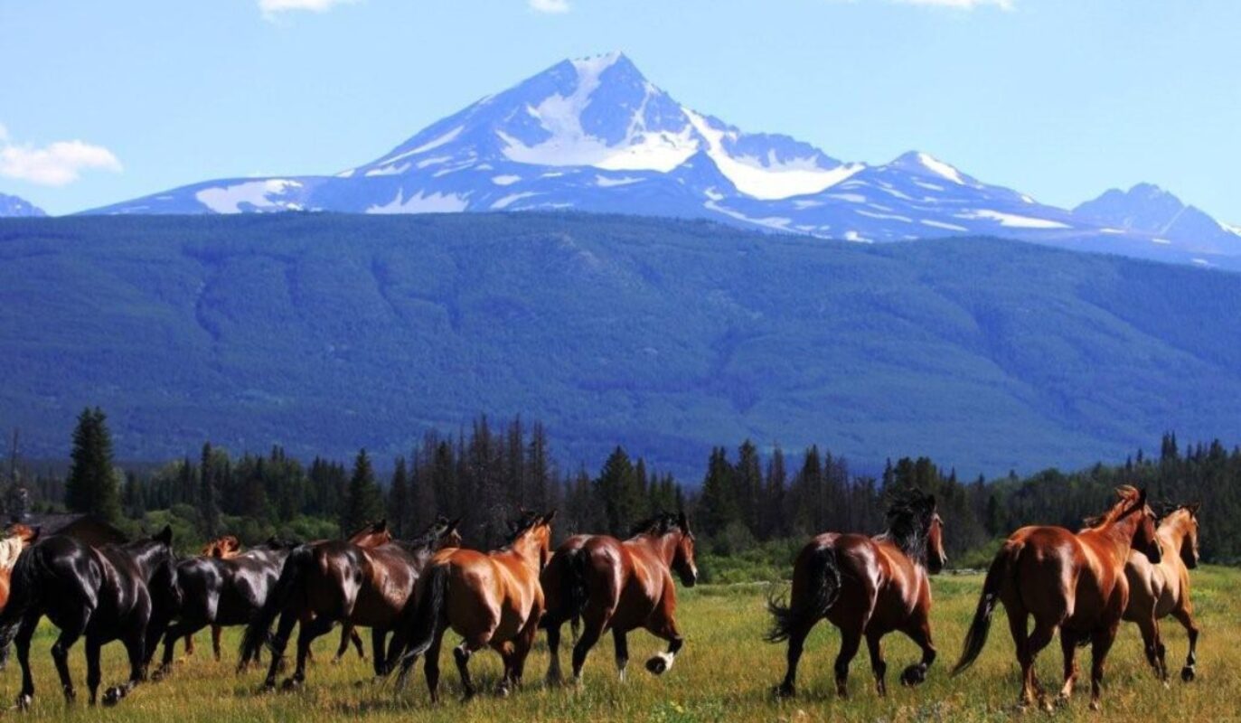 Elkin Creek Guest Ranch